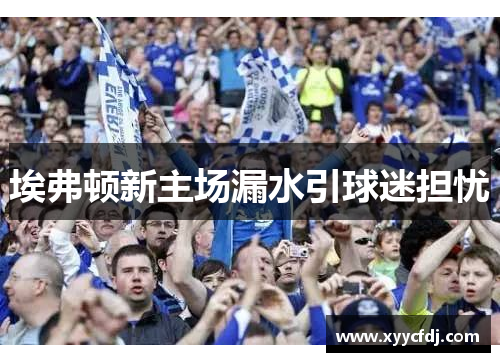 埃弗顿新主场漏水引球迷担忧