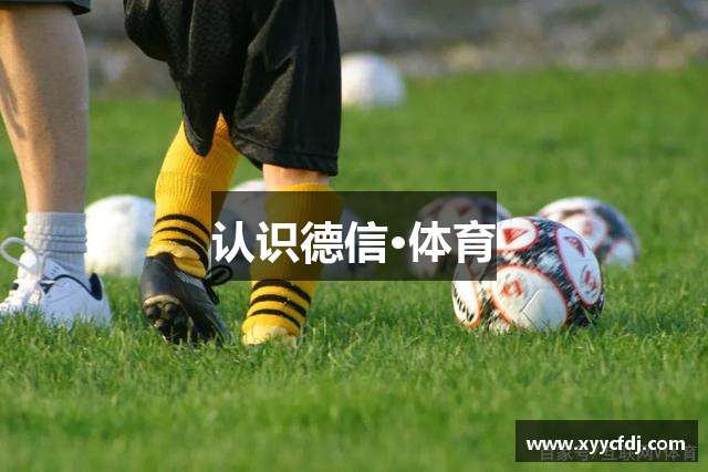 认识德信·体育